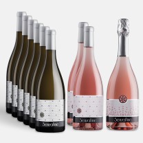 9er Weinpaket Summer Mix III