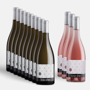 12er Weinpaket Summer Mix IV